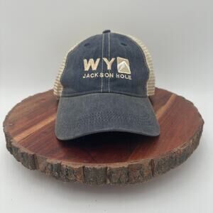 Jackson Hole Wyoming Trucker Baseball Strap Hat Gray Mesh One Size Teton VGUC